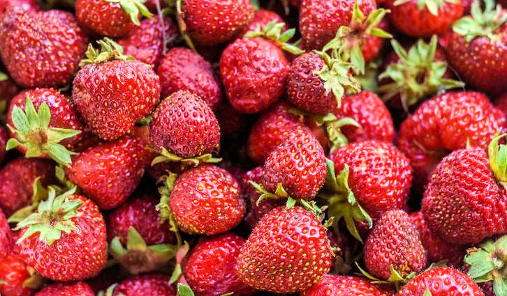 Fragole Biologiche - PRORAONLINE