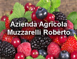 Clicca per entrare nella pagina dell'Azienda Agricola Muzzarelli Roberto