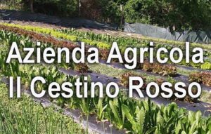 Clicca per entrare nella pagina dell'Azienda Agricola Il Cestino Rosso